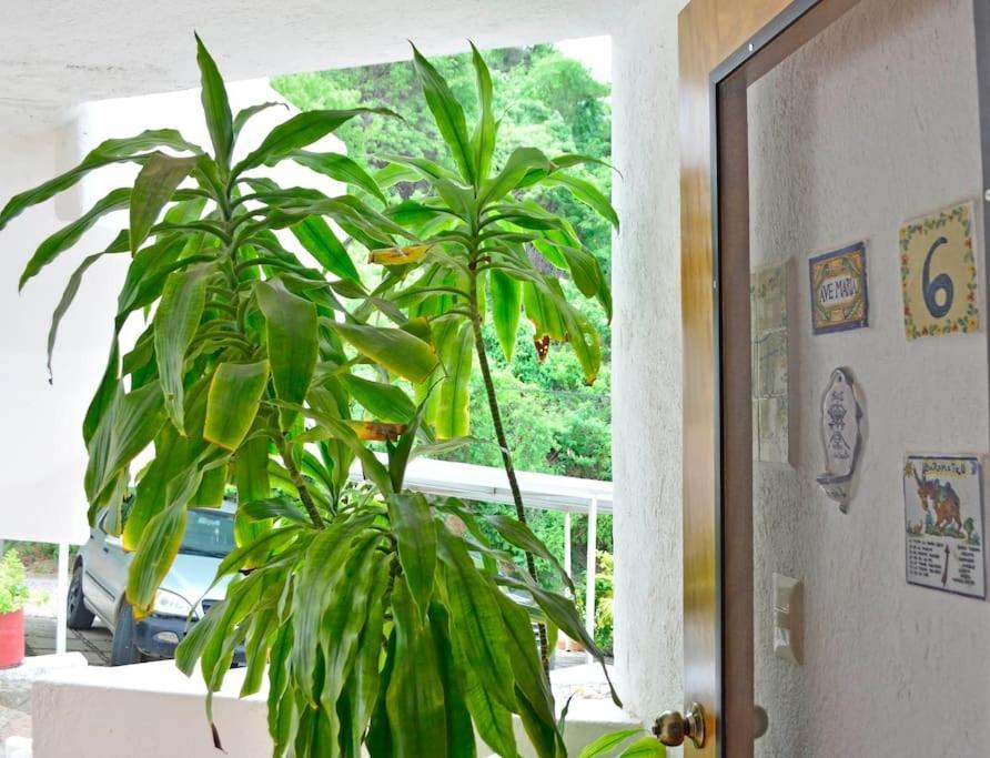 Apartmán Vista Hermosa Manzanillo Exteriér fotografie